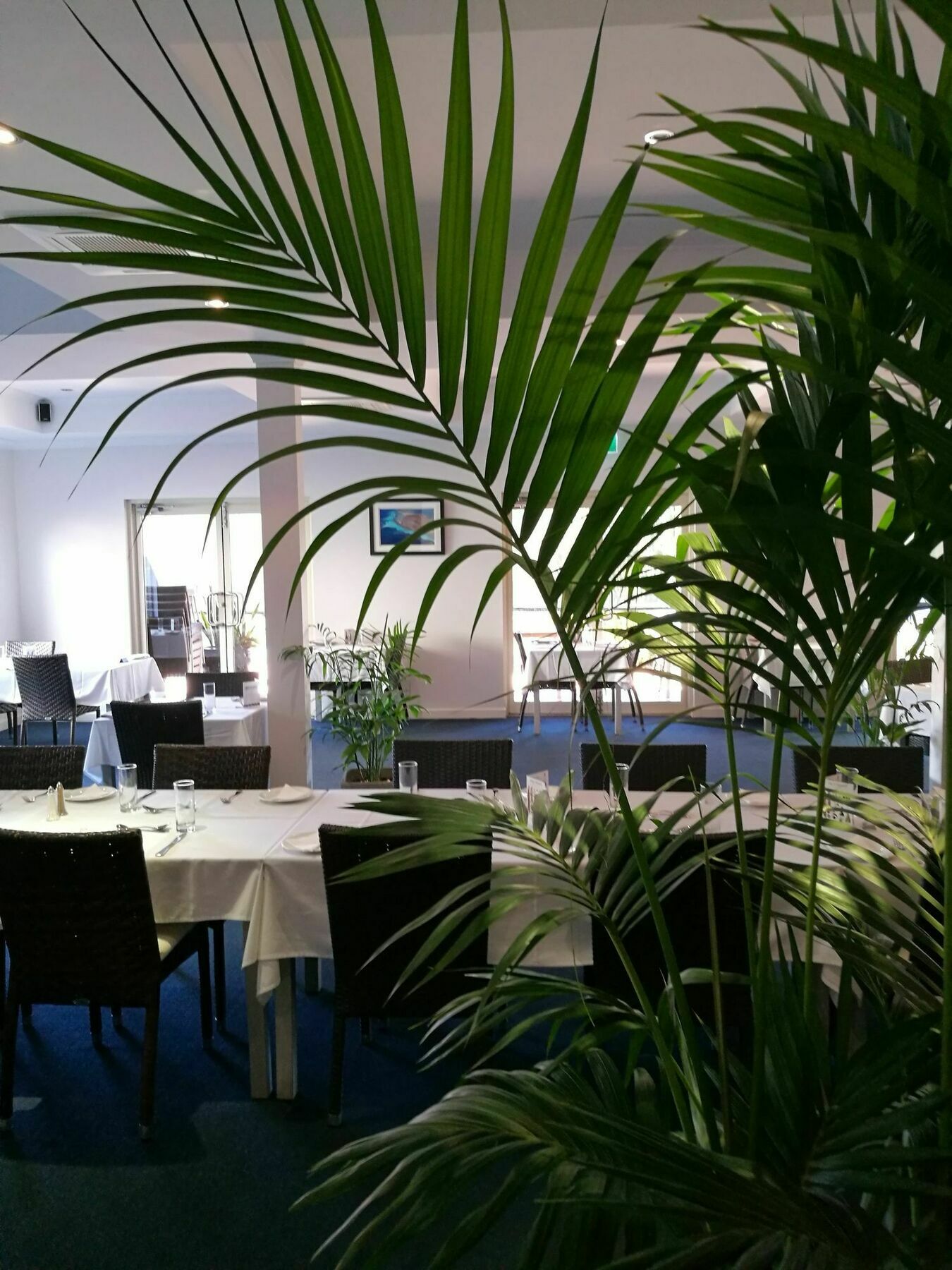 Kalbarri Edge Resort מראה חיצוני תמונה